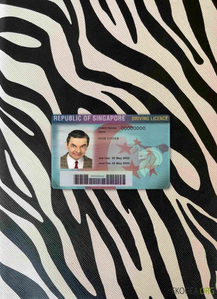 Photolook du permis de conduire de Singapour AVANT